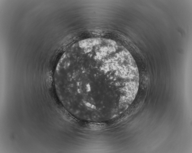 X0000111910707200909071156