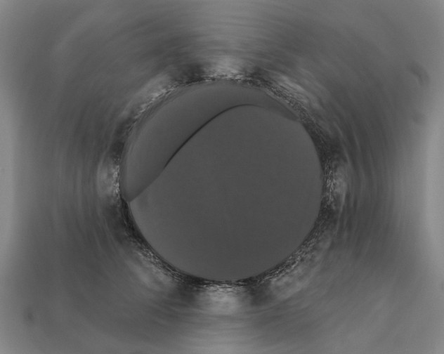 X0000111910708200909071156