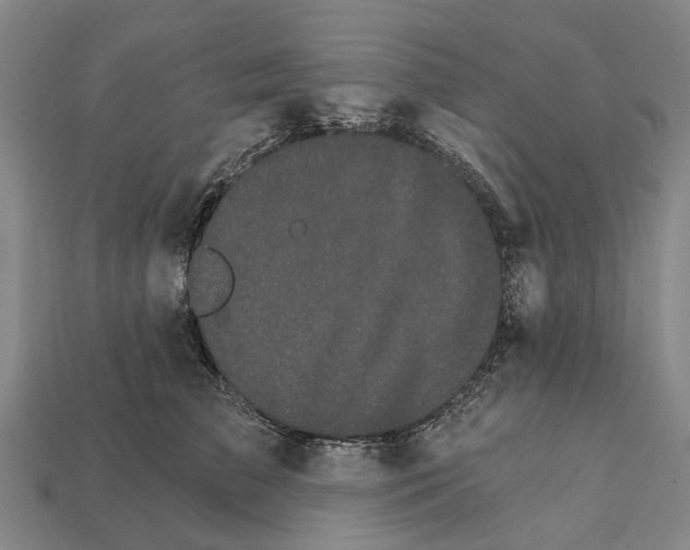 X0000111910709200909071156