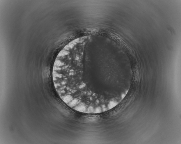 X0000111910711200909071156