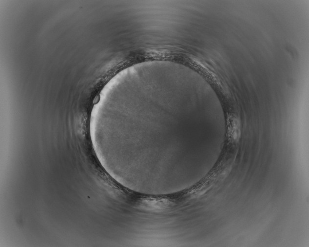 X0000111910712200909071156