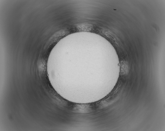 X0000111910713200909071156