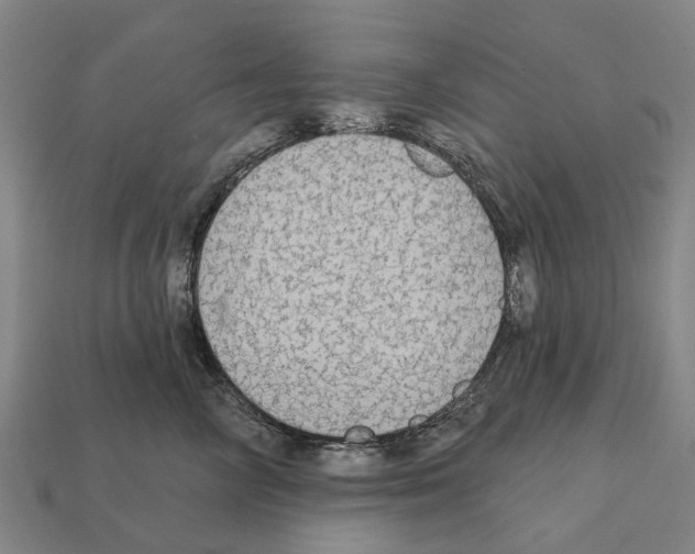 X0000111910714200909071156