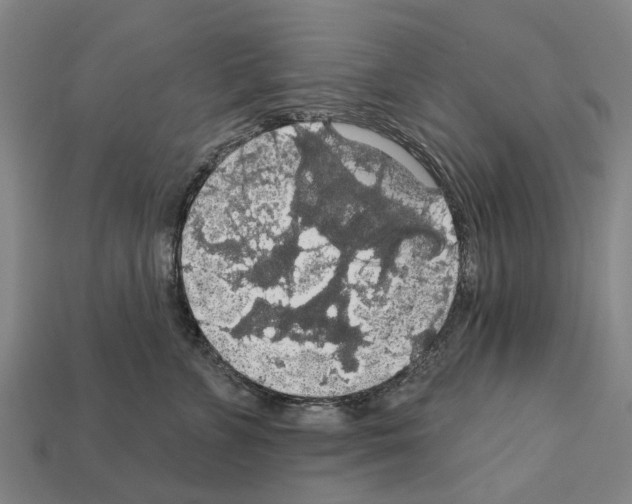 X0000111910715200909071156