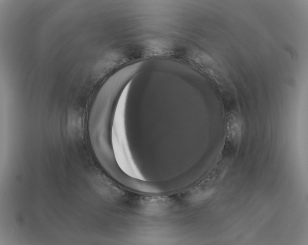 X0000111910716200909071156