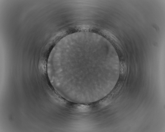 X0000111910718200909071156