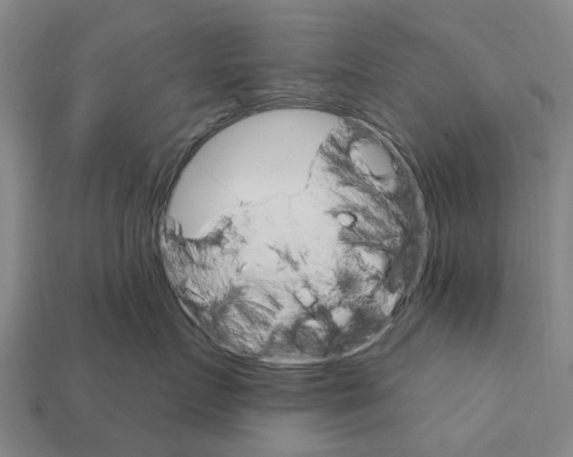 X0000111910719200909071156