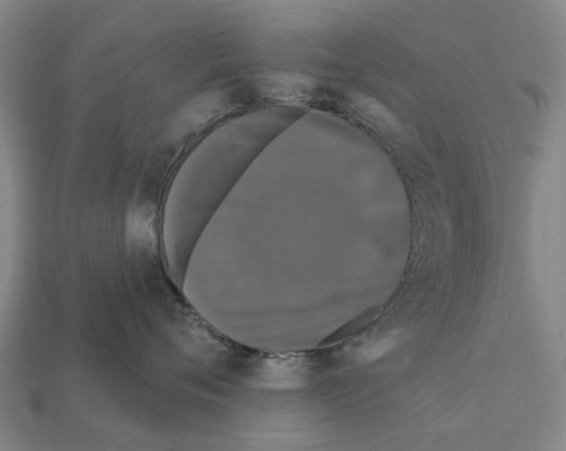 X0000111910720200909071156