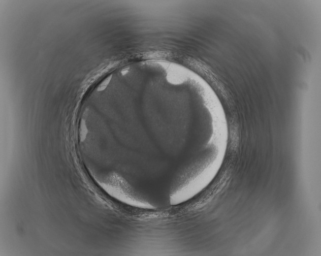 X0000111910721200909071156