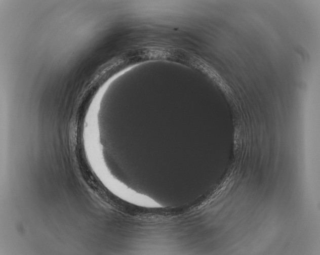 X0000111910722200909071156