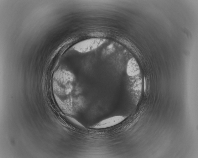 X0000111910723200909071156