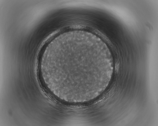 X0000111910724200909071156
