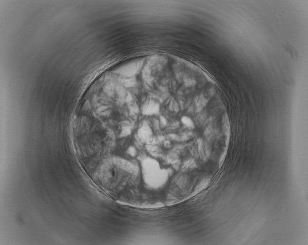 X0000111910725200909071156