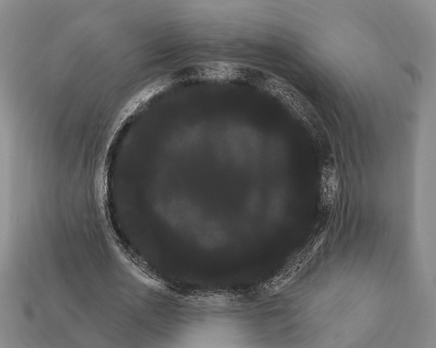 X0000111910726200909071156