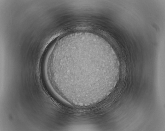 X0000111910727200909071156