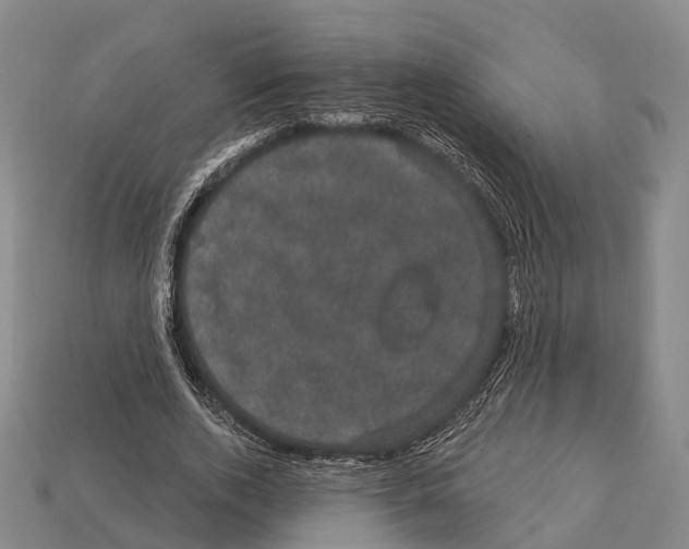 X0000111910728200909071156