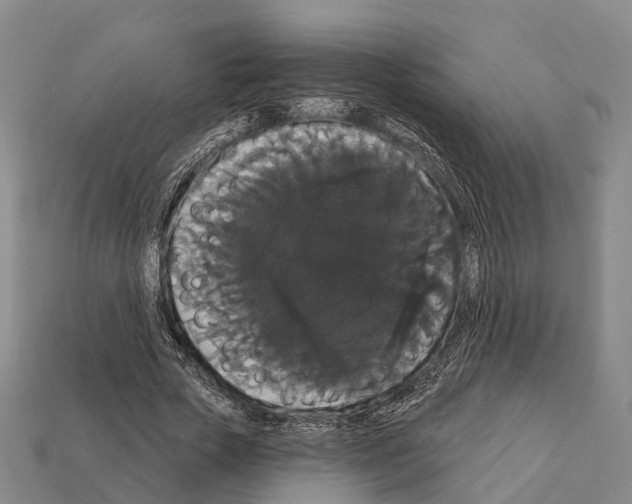 X0000111910729200909071156