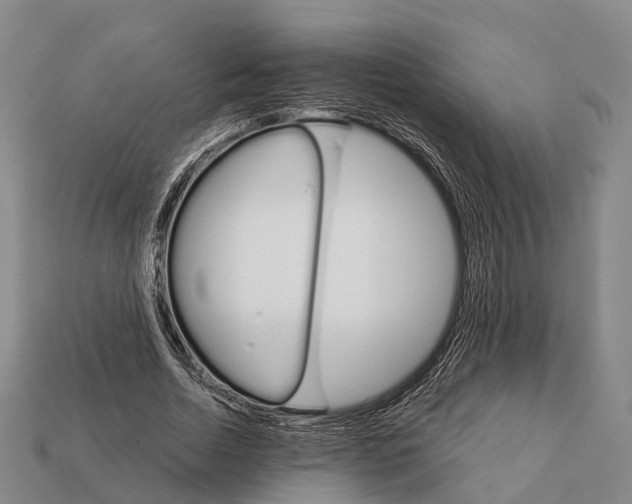 X0000111910730200909071156