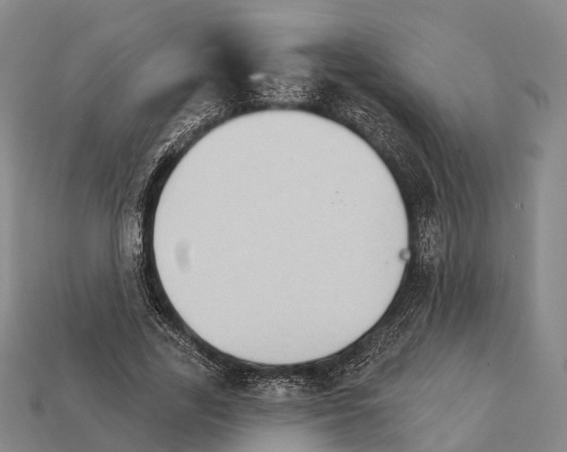 X0000111910731200909071156