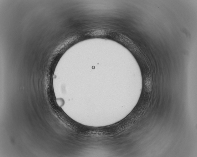 X0000111910732200909071156