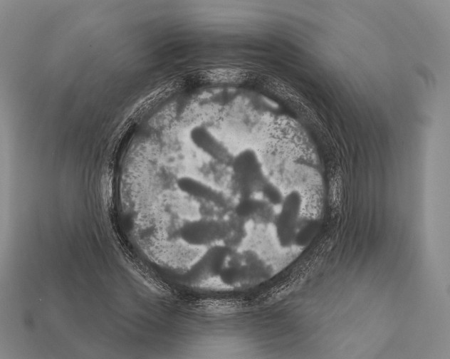 X0000111910733200909071156