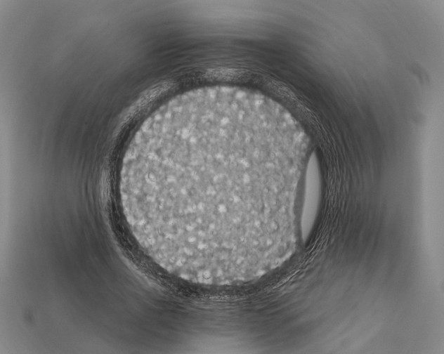 X0000111910734200909071156