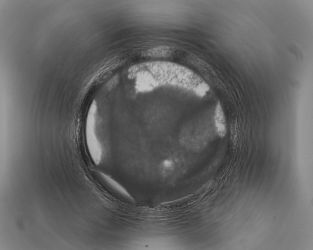 X0000111910735200909071156