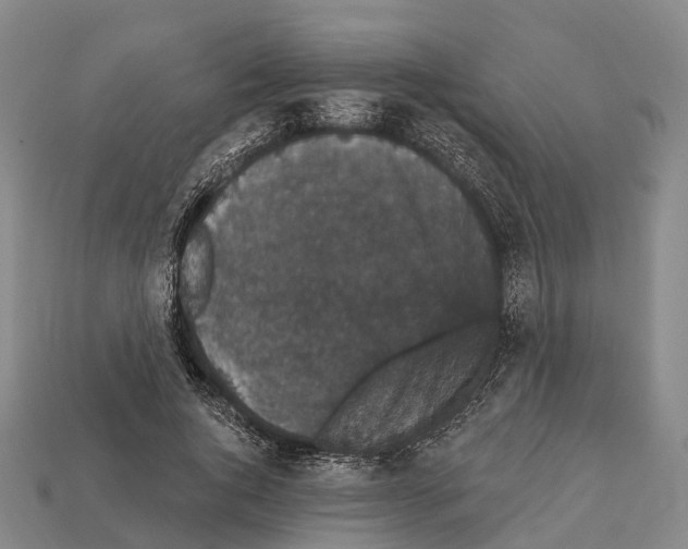 X0000111910736200909071156