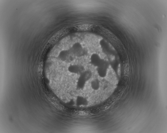 X0000111910737200909071156