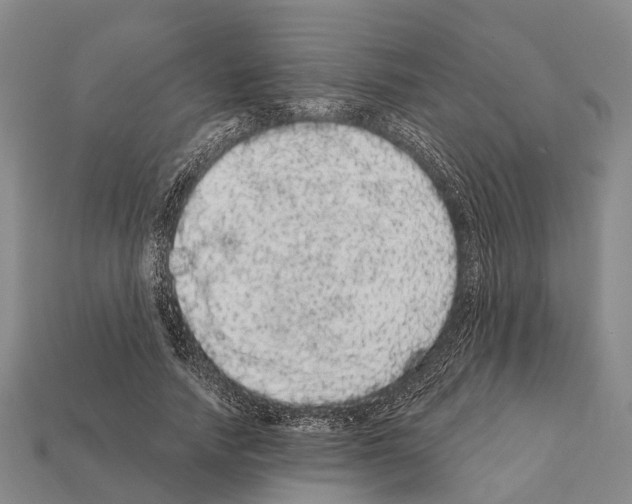 X0000111910738200909071156