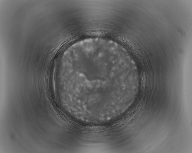 X0000111910739200909071156