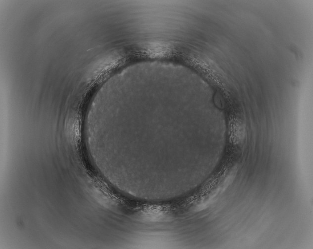 X0000111910740200909071156
