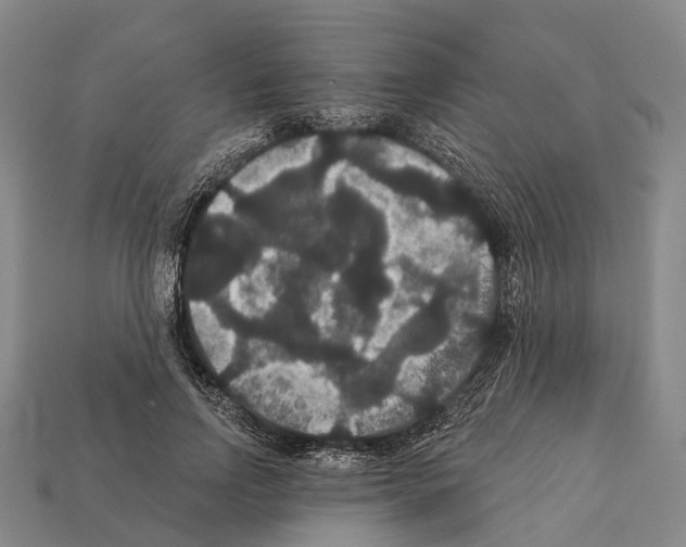 X0000111910742200909071156