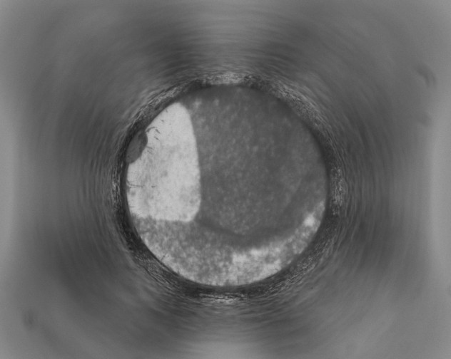 X0000111910743200909071156