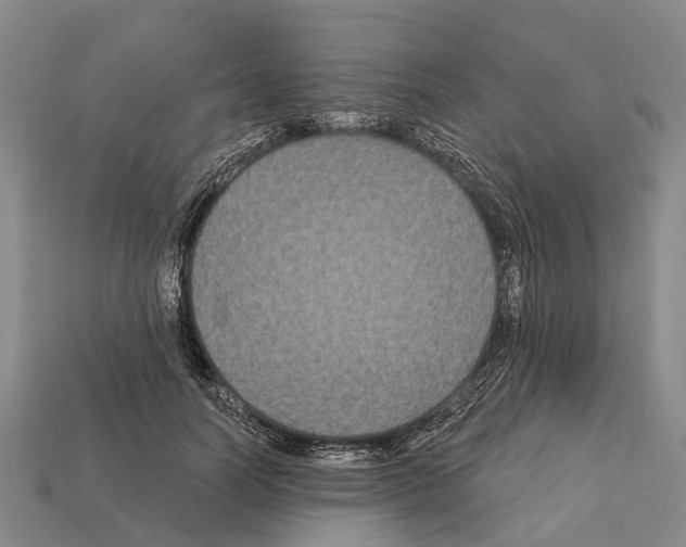 X0000111910746200909071156
