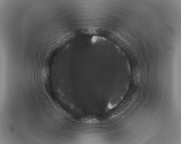 X0000111910747200909071156