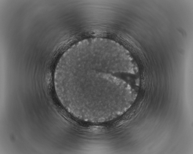 X0000111910748200909071156
