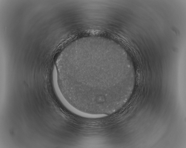 X0000111910750200909071156