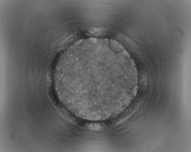 X0000111910751200909071156
