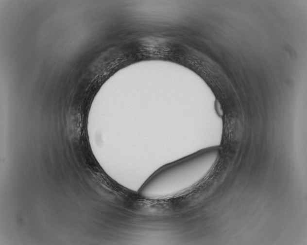 X0000111910752200909071156