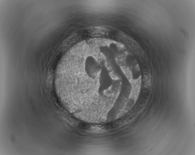 X0000111910753200909071156