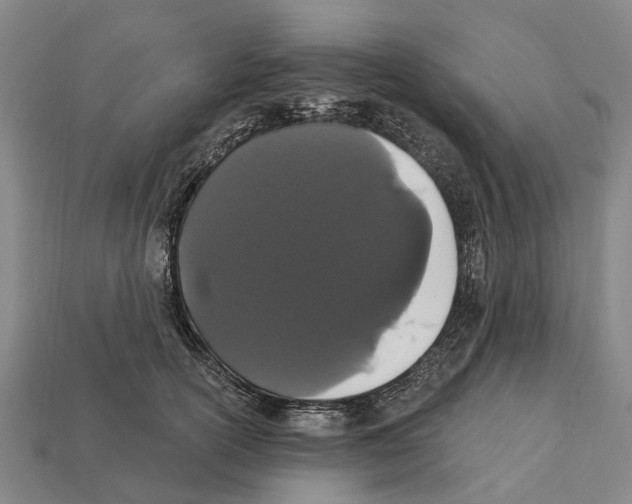 X0000111910754200909071156