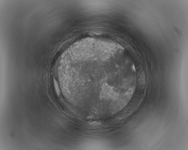 X0000111910755200909071156