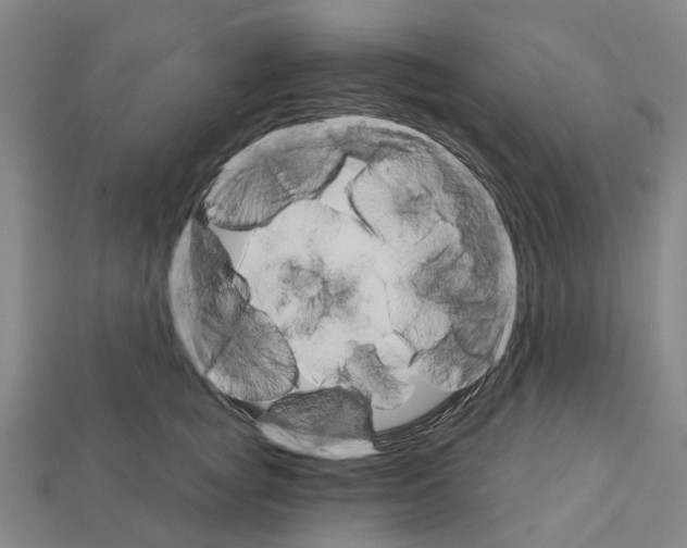 X0000111910757200909071156