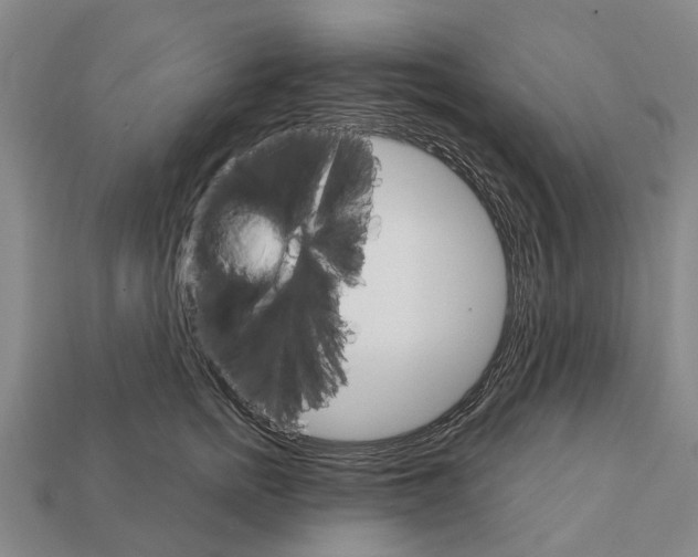 X0000111910758200909071156