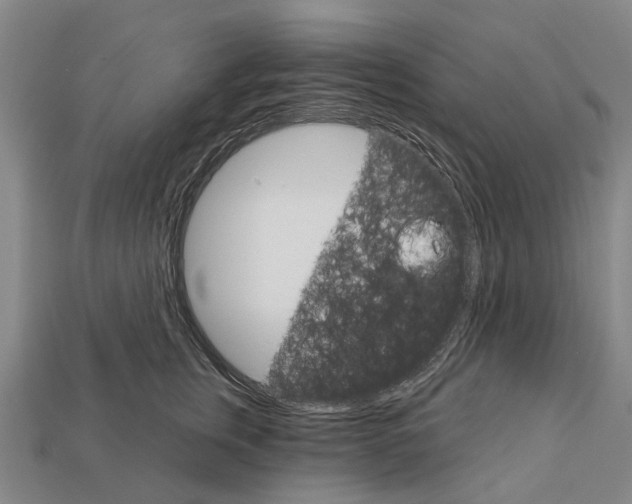 X0000111910759200909071156