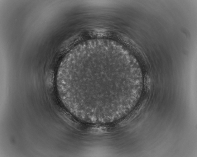 X0000111910760200909071156
