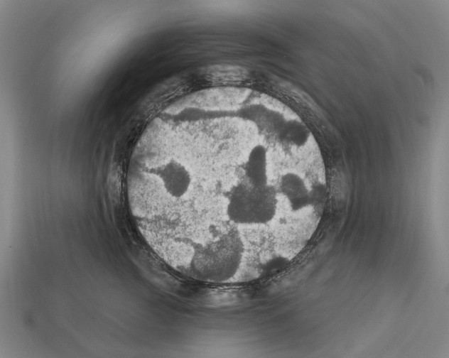 X0000111910761200909071156