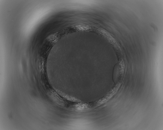 X0000111910762200909071156