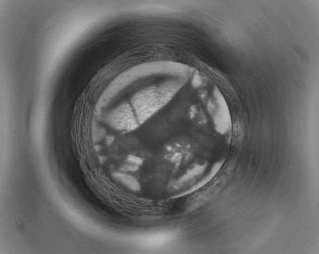 X0000111910765200909071156